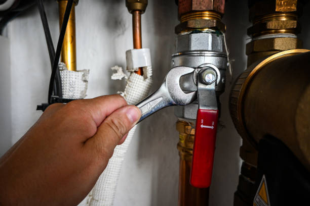 Best Toilet Repair Services  in Davenport, WA